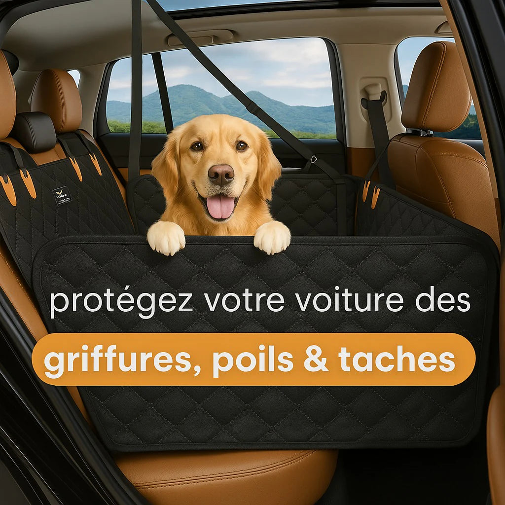 lit de transport pour chien
